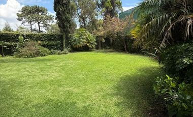 CASA RENTA
