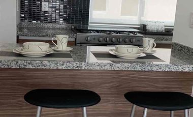 DEPTO. CON ROOF GARDEN