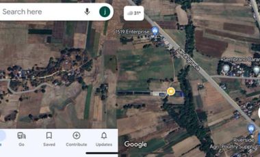 SUPER RUSH SALE: Fully Developed Farm Property in Gerona, Tarlac