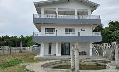 SUPER RUSH SALE: Fully Developed Farm Property in Gerona, Tarlac