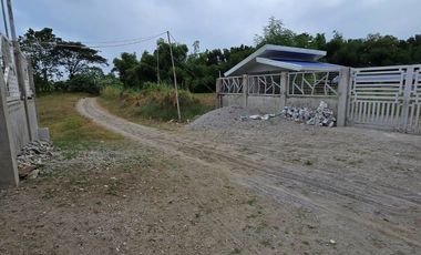 SUPER RUSH SALE: Fully Developed Farm Property in Gerona, Tarlac