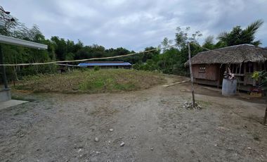 SUPER RUSH SALE: Fully Developed Farm Property in Gerona, Tarlac