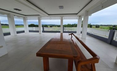 SUPER RUSH SALE: Fully Developed Farm Property in Gerona, Tarlac
