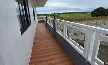 SUPER RUSH SALE: Fully Developed Farm Property in Gerona, Tarlac