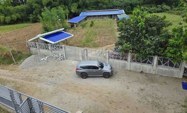 SUPER RUSH SALE: Fully Developed Farm Property in Gerona, Tarlac