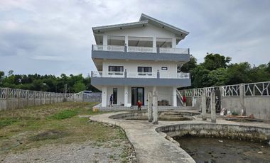 SUPER RUSH SALE: Fully Developed Farm Property in Gerona, Tarlac