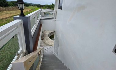 SUPER RUSH SALE: Fully Developed Farm Property in Gerona, Tarlac