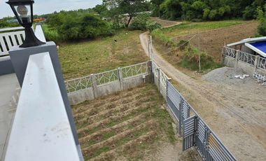 SUPER RUSH SALE: Fully Developed Farm Property in Gerona, Tarlac