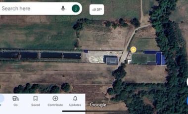SUPER RUSH SALE: Fully Developed Farm Property in Gerona, Tarlac