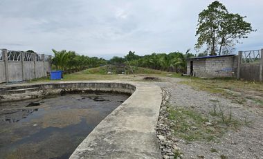 SUPER RUSH SALE: Fully Developed Farm Property in Gerona, Tarlac