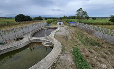 SUPER RUSH SALE: Fully Developed Farm Property in Gerona, Tarlac