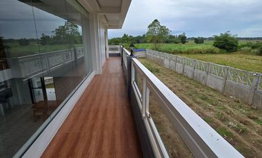 SUPER RUSH SALE: Fully Developed Farm Property in Gerona, Tarlac