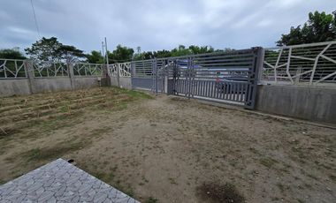 SUPER RUSH SALE: Fully Developed Farm Property in Gerona, Tarlac
