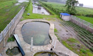 SUPER RUSH SALE: Fully Developed Farm Property in Gerona, Tarlac