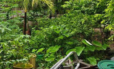 HOUSE AND LOT FOR SALE IN SANVILLE SUBD. CULLIAT, QUEZON CITY