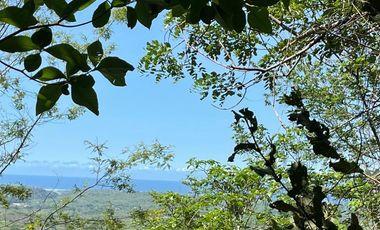 FCTO. LA ESPERANZA, EXTRAORDINARIO TERRENO CAMPESTRE