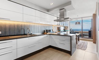 Depto de lujo con terraza panorámica y vista al mar