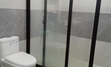 SACRIFICIAL SALE COMMERCIAL-RESIDENTIAL PROPERTY IN NUEVA ECIJA