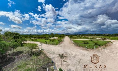 FCTO MUSAS,   LA MAGIA DEL OCEANO