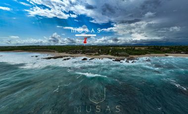 FCTO MUSAS,   LA MAGIA DEL OCEANO