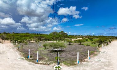 FCTO MUSAS,   LA MAGIA DEL OCEANO