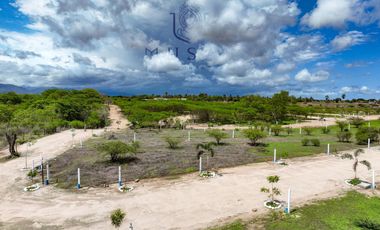 FCTO MUSAS,   LA MAGIA DEL OCEANO