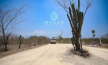 FCTO MUSAS,   LA MAGIA DEL OCEANO