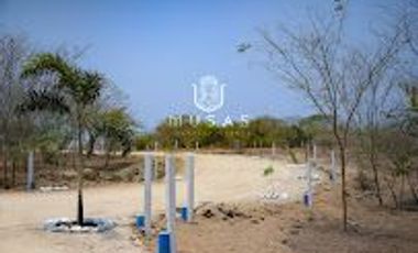 FCTO MUSAS,   LA MAGIA DEL OCEANO