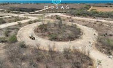 FCTO MUSAS,   LA MAGIA DEL OCEANO