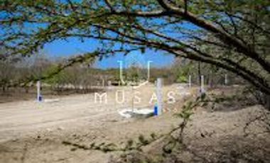 FCTO MUSAS,   LA MAGIA DEL OCEANO