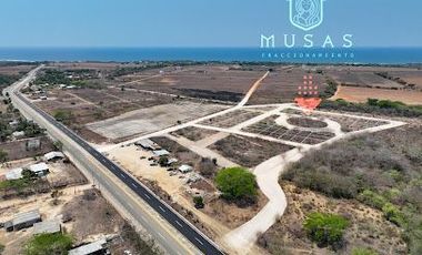 FCTO MUSAS,   LA MAGIA DEL OCEANO