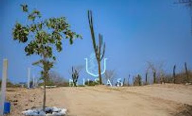 FCTO MUSAS,   LA MAGIA DEL OCEANO