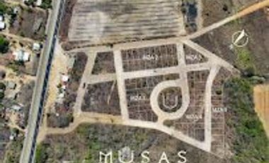 FCTO MUSAS,   LA MAGIA DEL OCEANO