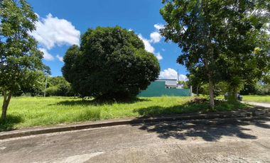 Corner lot for sale in Hampton Place Greenwood South Batangas City