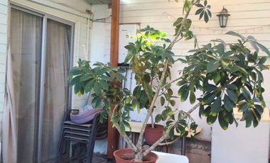 Linda y acogedora casa en sector Torre Blanca, Copiapó.