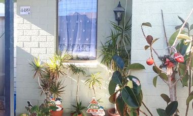 Linda y acogedora casa en sector Torre Blanca, Copiapó.