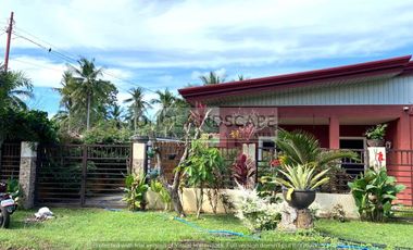 House and Lot for Sale located in Dao, Dauis, Panglao Island, Bohol