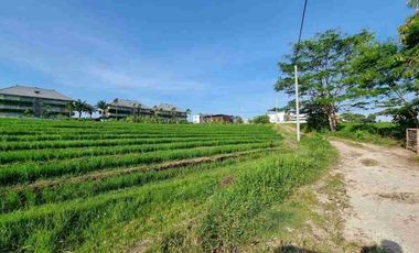 Tanah Pantai Lima Pemandangan Sawah Pererenan Bali