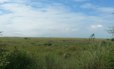 Your Future Home Could Be Here – If You Act Now!