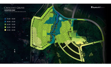 Pre-Selling Lots by Ayala Premier? Act Fast!