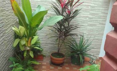 VENDO CASA, SECTOR LA HACIENDA, SUR DE CALI