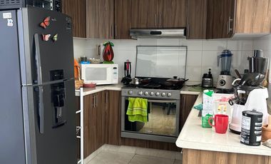 chapultepec como nueva 443193----