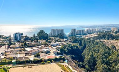 Departamento Amoblado Arriendo Algarrobo Condominio Piscina