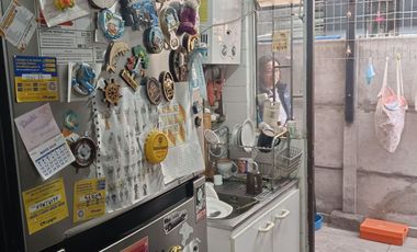 Psje. Domingo Santa cruz wilson 7269, Santiago, Renca