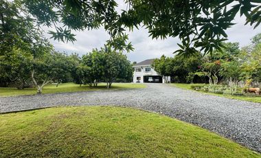 LUXURY EUROPEAN HOUSE SEAFRONT PROPERTY FOR SALE WITH SWIMMING POOL IN PANGLAO ISLAND OF BOHOL