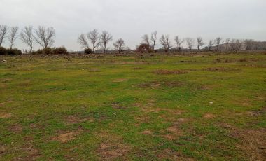 Terreno 27,7 hectáreas