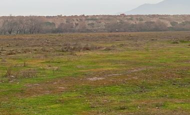 Terreno 27,7 hectáreas