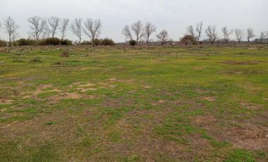 Terreno 27,7 hectáreas