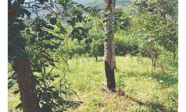 VENDO Lote en Pandi Cundinamarca Cerca al Boquerón