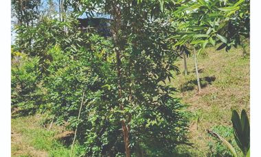 VENDO Lote en Pandi Cundinamarca Cerca al Boquerón